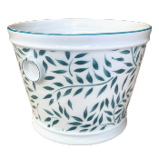 Olivier vert filet vert - Cache-pot Ø19 cm