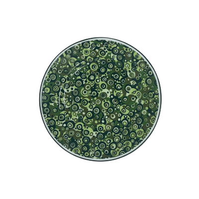 Meditation by Noj Barker - Assiette à pain 16 cm